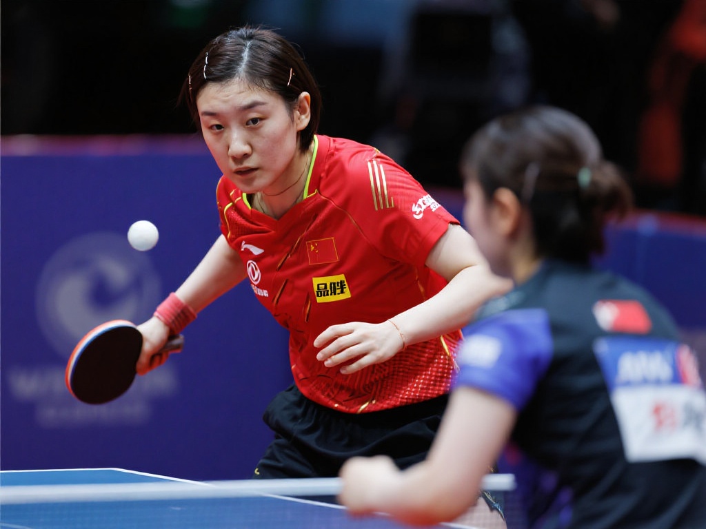 如果你也对 如果你也对